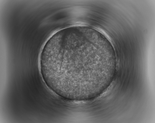 X0000093481243200711091620