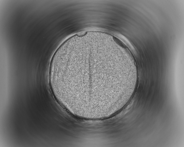 X0000093481244200711091620