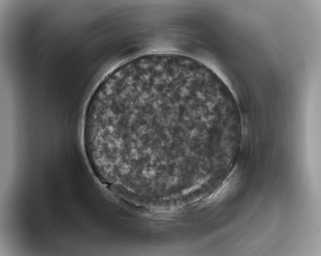 X0000093481245200711091620