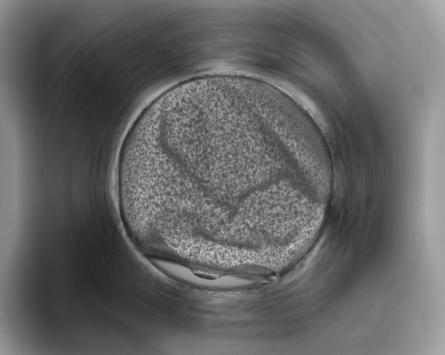 X0000093481247200711091620