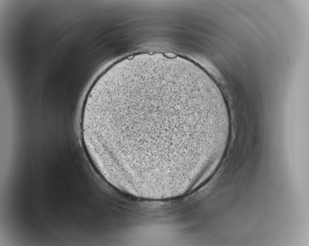 X0000093481248200711091620