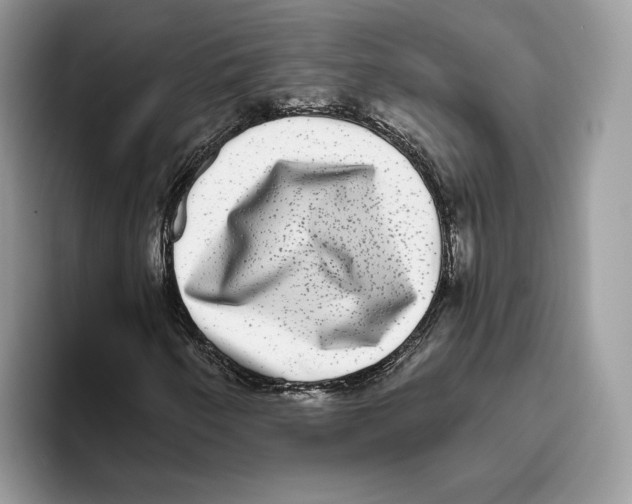 X0000093481250200711091620