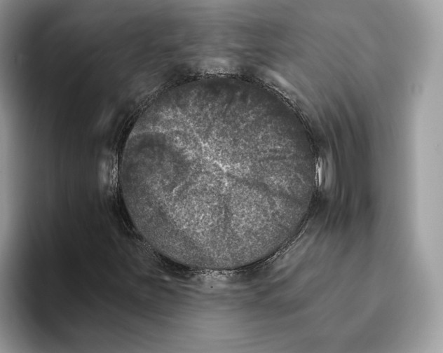 X0000093481251200711091620