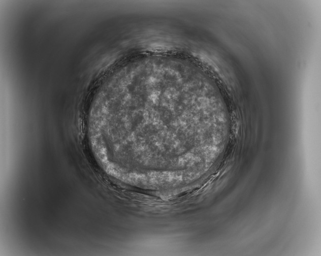 X0000093481253200711091620