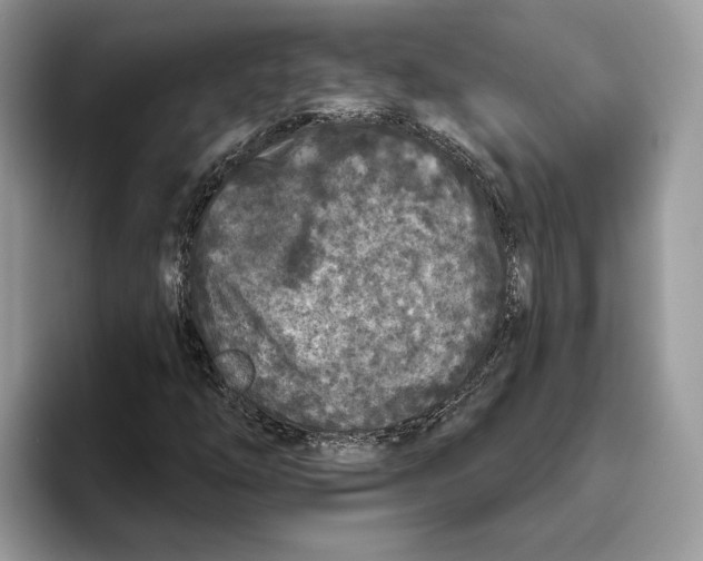 X0000093481254200711091620