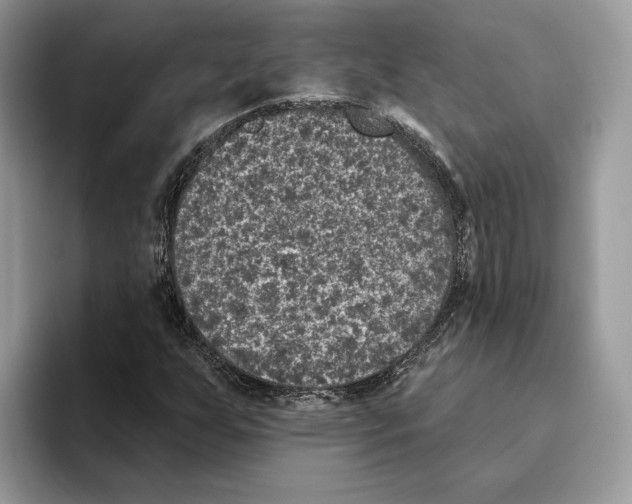 X0000093481255200711091620