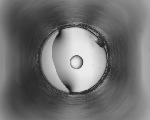 X0000093481257200711091620