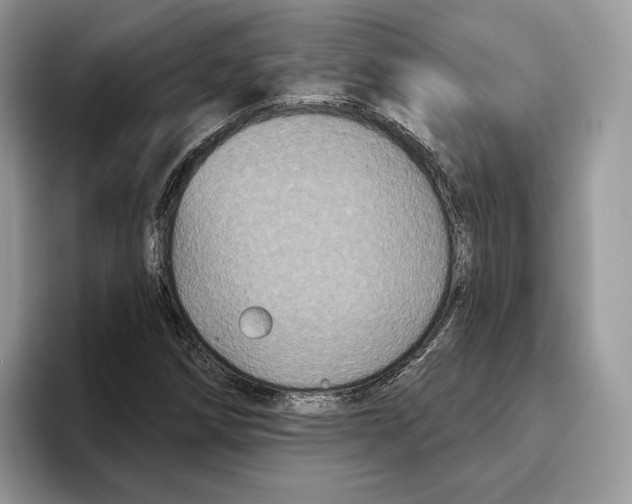 X0000093481258200711091620