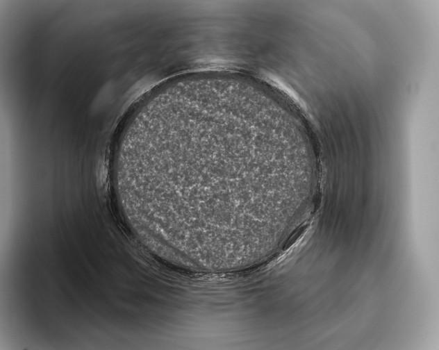 X0000093481259200711091620