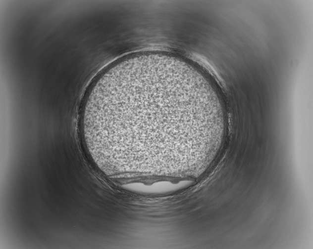 X0000093481260200711091620