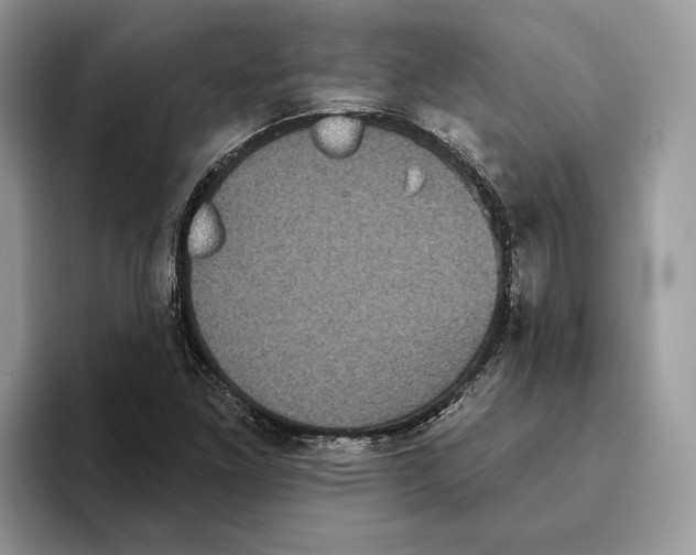 X0000093481261200711091620