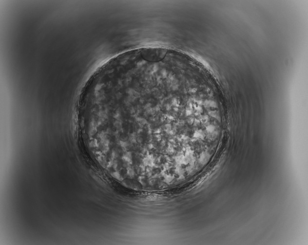 X0000093481263200711091620