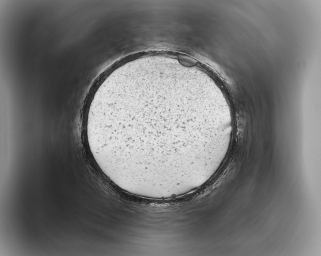 X0000093481264200711091620