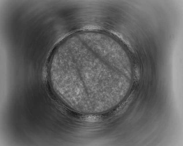 X0000093481266200711091620