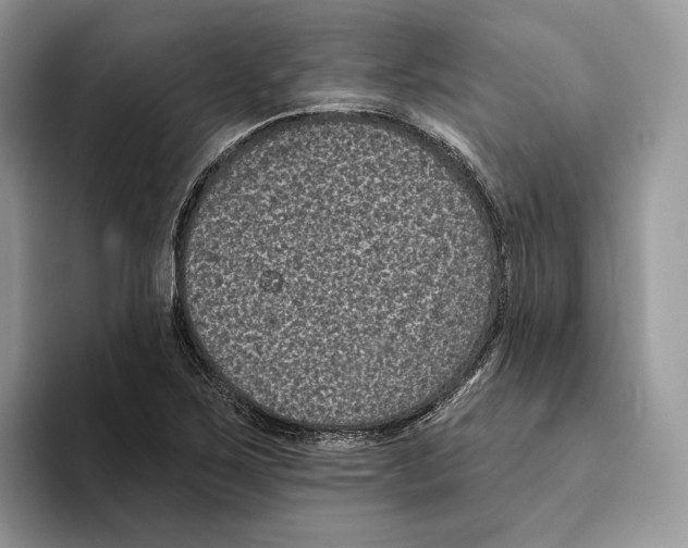 X0000093481267200711091620