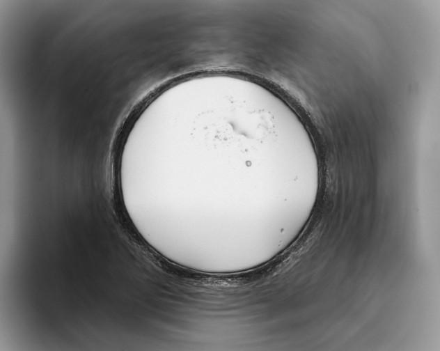 X0000093481270200711091620