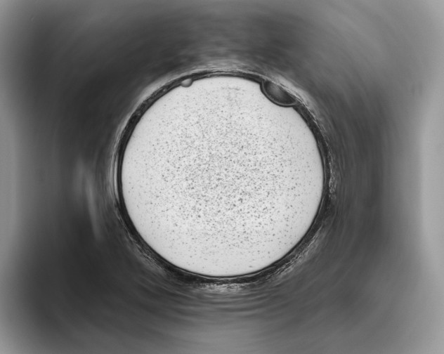 X0000093481272200711091620