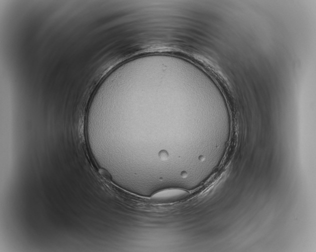 X0000093481273200711091620