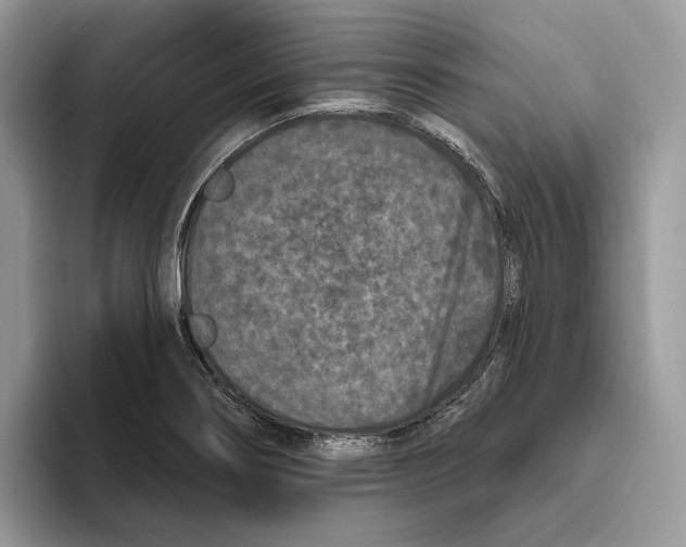 X0000093481274200711091620