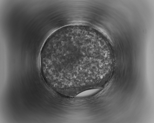 X0000093481275200711091620