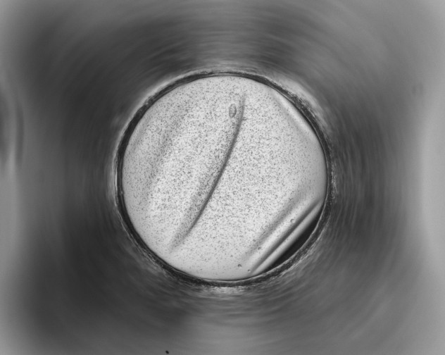 X0000093481280200711091619