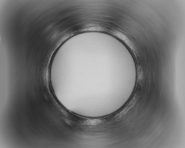 X0000093481282200711091619