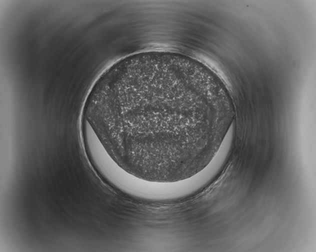 X0000093481283200711091619