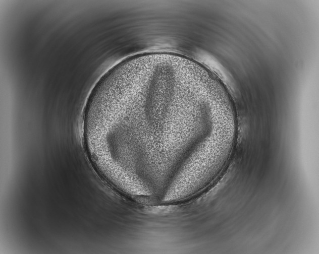 X0000093481284200711091619