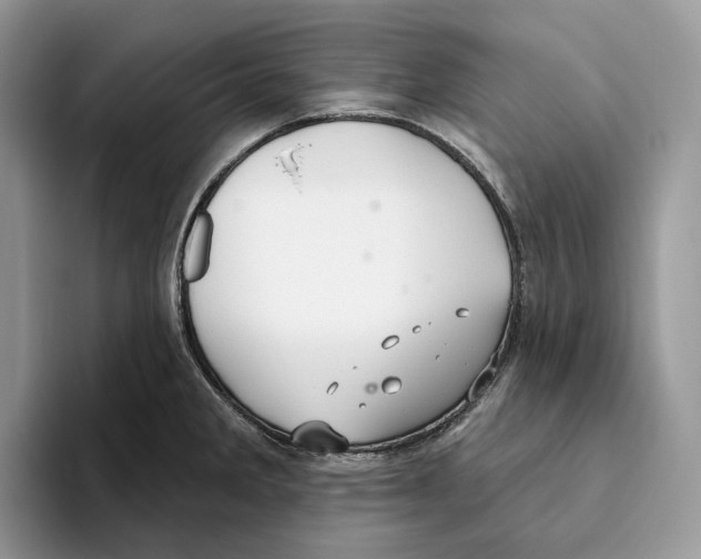 X0000093481285200711091619