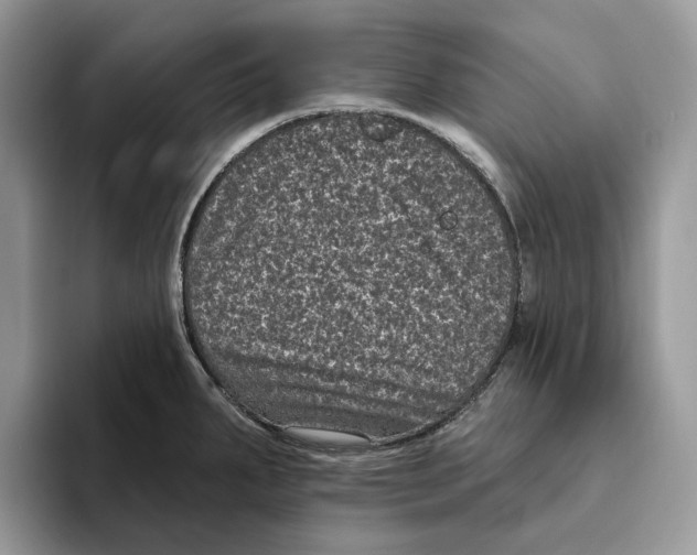 X0000093481287200711091619