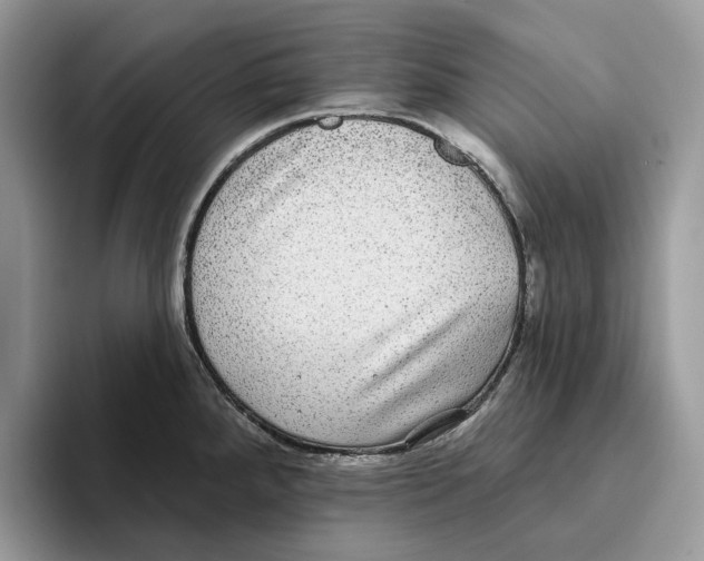 X0000093481288200711091619