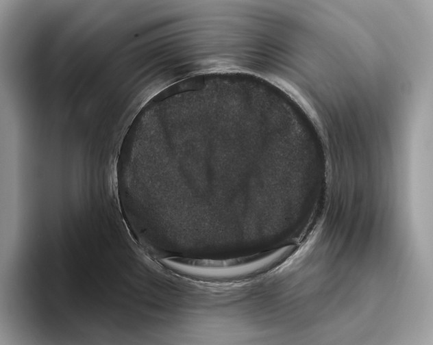 X0000093481289200711091619