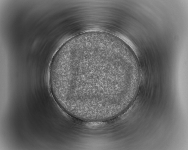 X0000093481290200711091619