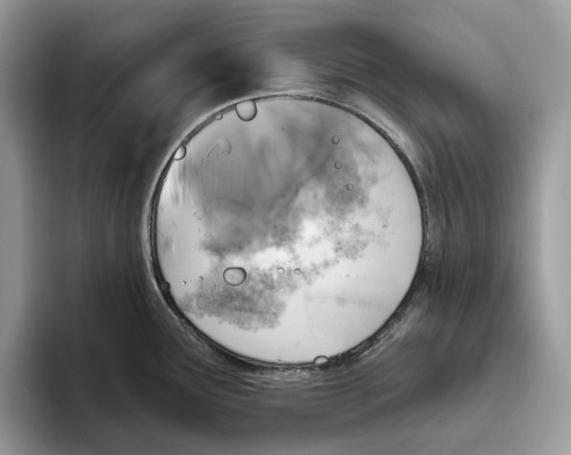 X0000093481291200711091619