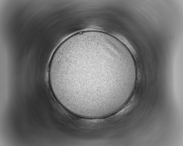 X0000093481292200711091619