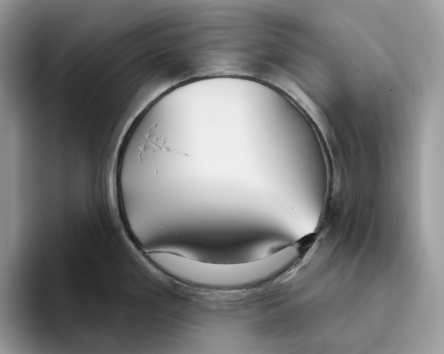 X0000093481293200711091619