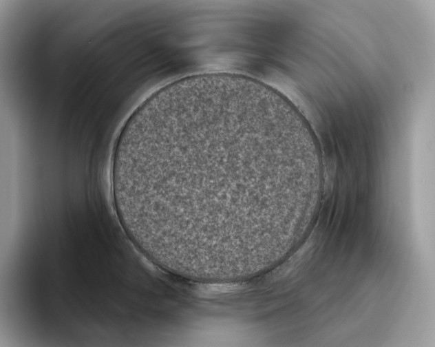 X0000093481294200711091619