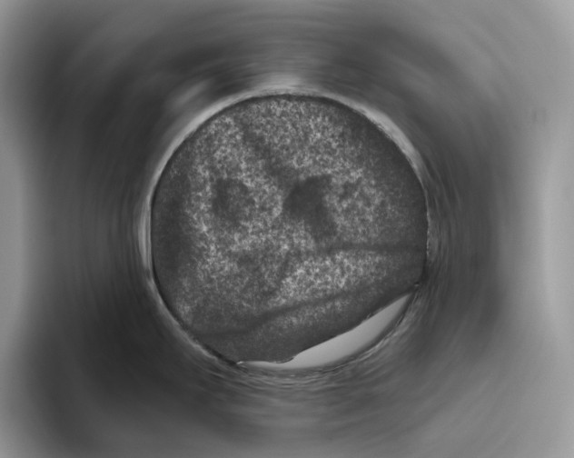 X0000093481295200711091619