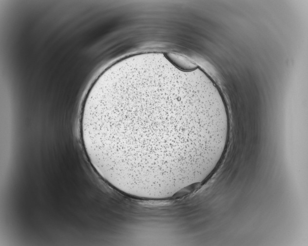 X0000093481296200711091619