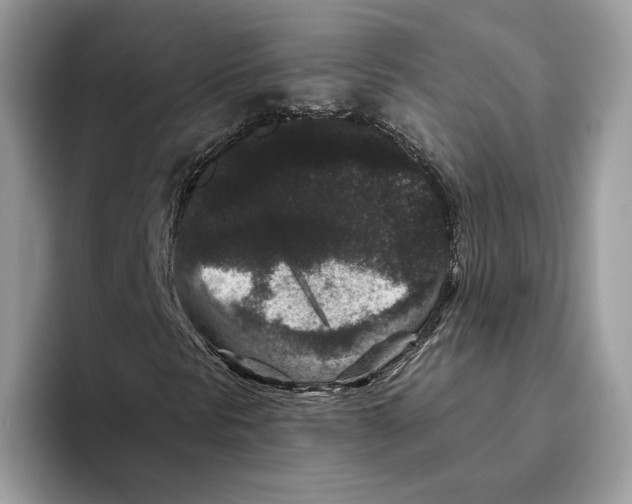 X0000093481297200711091619