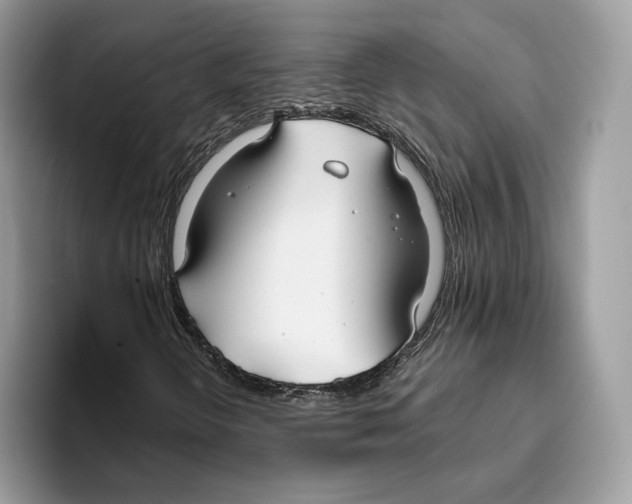 X0000093481298200711091619