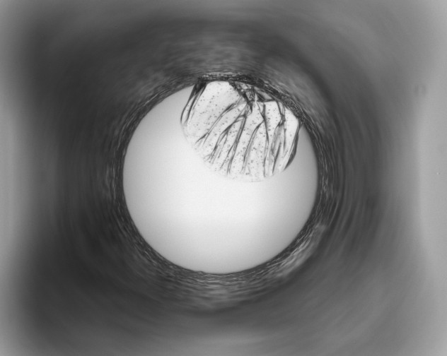 X0000093481300200711091619