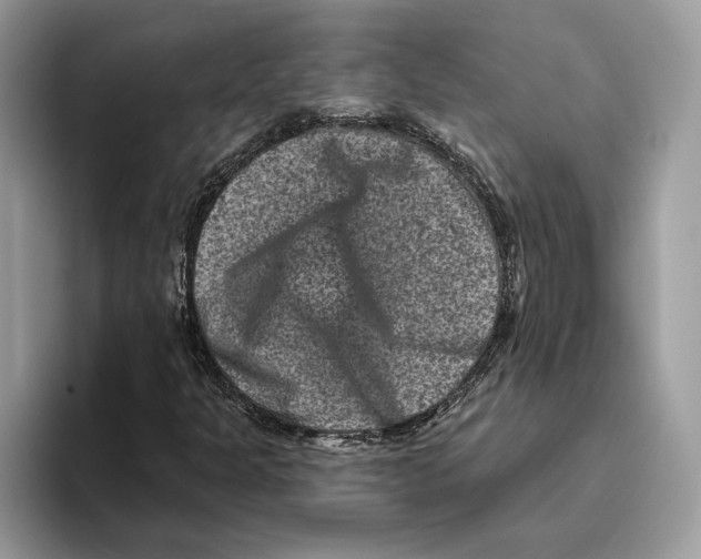 X0000093481301200711091619