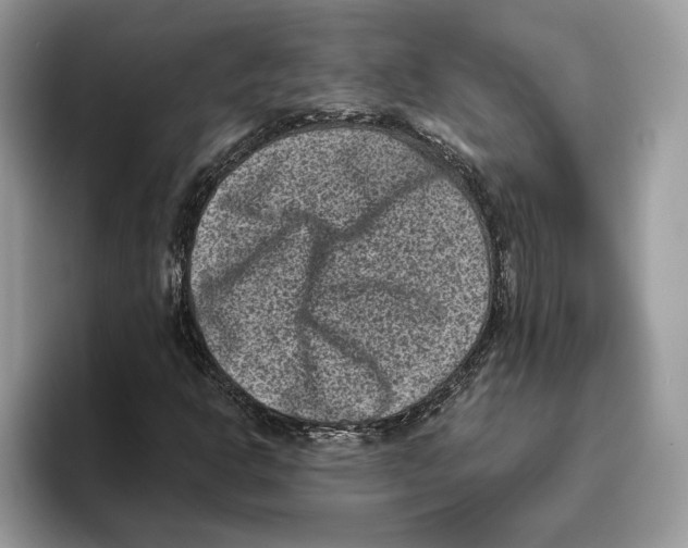 X0000093481302200711091619