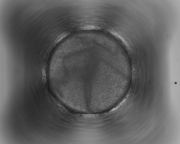 X0000093481305200711091619