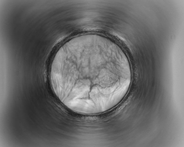 X0000093481306200711091619