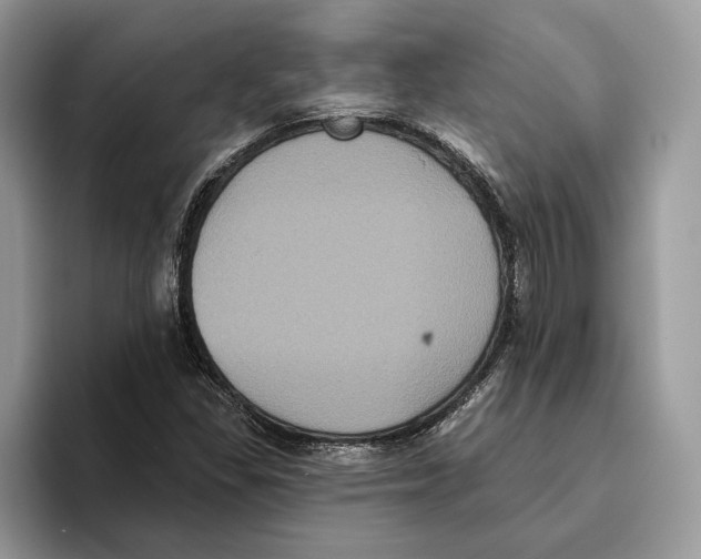 X0000093481309200711091619