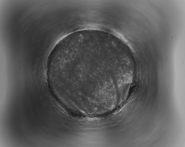 X0000093481312200711091619