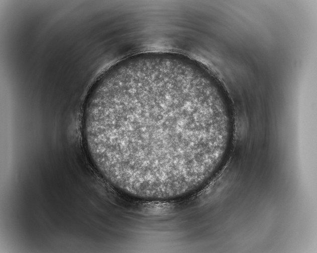 X0000093481314200711091619