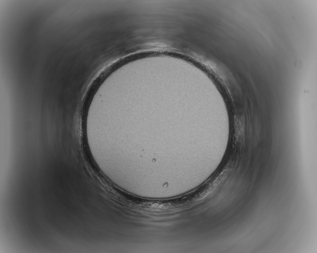 X0000093481318200711091619